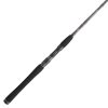 Carnage III Inshore Spinning Rod