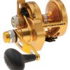 Torque Lever Drag 2-Speed Conventional Reel